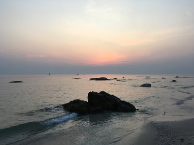 63C1C310-8D31-49D9-87B8-244A71BB7363.jpeg