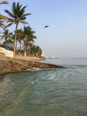 37D60141-7349-4CB1-8610-E147940DDFEF.jpeg