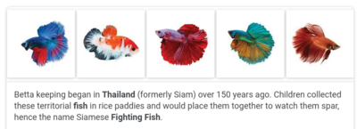 2020-12-29 23.06.01.png