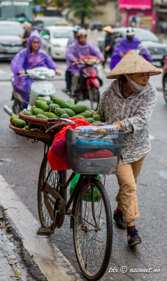 Vanlig syn i Hanoi