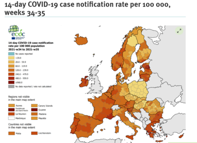 2021-09-10 17.23.42.png