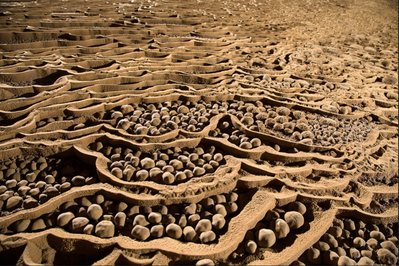 incredible-underground-kingdom_6.jpg