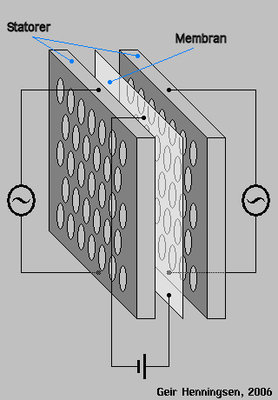 Wikipedia: Skisse av elektrostatisk høyttaler. Bemerk at de to statorene har motsatt fase. (Dimensjonene er for klarhets skyld overdrevne)