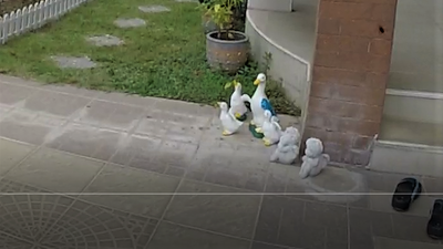 Søyle før behandling