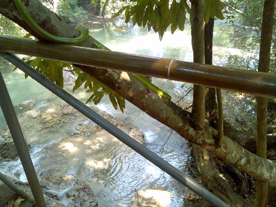 Div.Bilder Lek++++++ 112.JPG