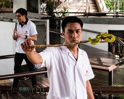 Red Cross.jpg