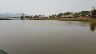 20190403_145314.jpg