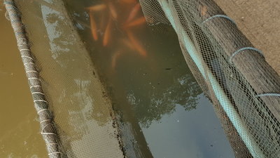 20190403_145126.jpg