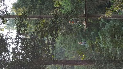 20161210_162600.jpg