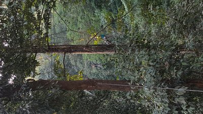 20161210_162544.jpg
