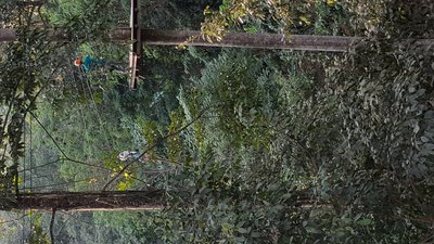 20161210_162532.jpg