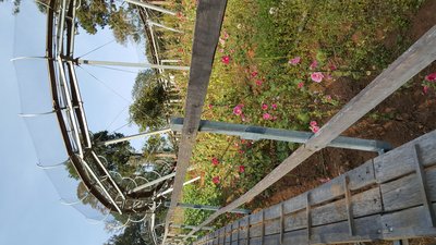 20161210_161529.jpg