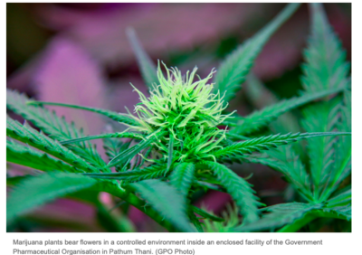 Skjermbilde 2019-05-25 kl. 09.42.30.png