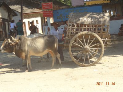 E5798AC9-688D-4097-912F-7016C3C3D8C2.jpeg