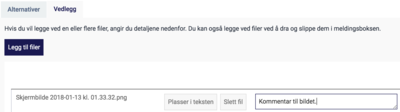 Kommentar til bildet