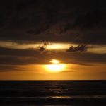 cropped-IMG_0105.jpg