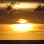 cropped-cropped-cropped-IMG_0105-1.jpg