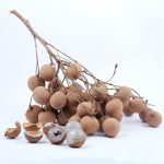 Longan