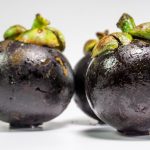 Mangosteen