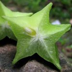 Star fruit